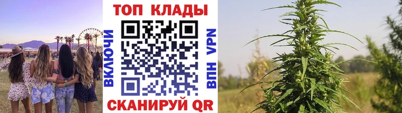 Купить Пущино АМФ Alpha-PVP Гашиш Каннабис