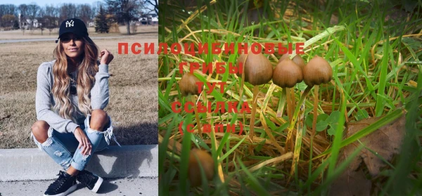 ГАЛЛЮЦИНОГЕННЫЕ ГРИБЫ Баксан
