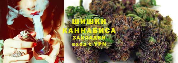 ГАЛЛЮЦИНОГЕННЫЕ ГРИБЫ Баксан