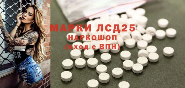 ГАЛЛЮЦИНОГЕННЫЕ ГРИБЫ Баксан