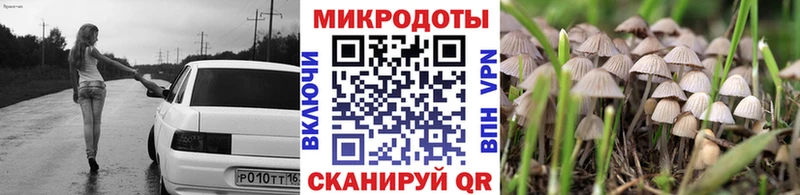 Псилоцибиновые грибы мухоморы Пущино