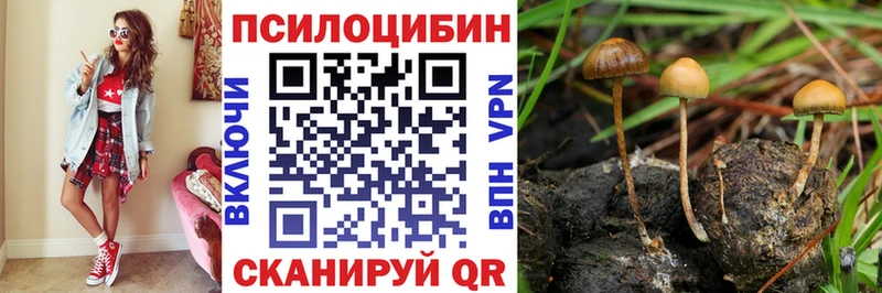 Псилоцибиновые грибы Psilocybe  darknet официальный сайт  Пущино 