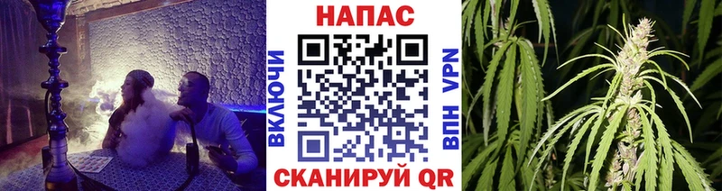 Бошки Шишки индика  Пущино 